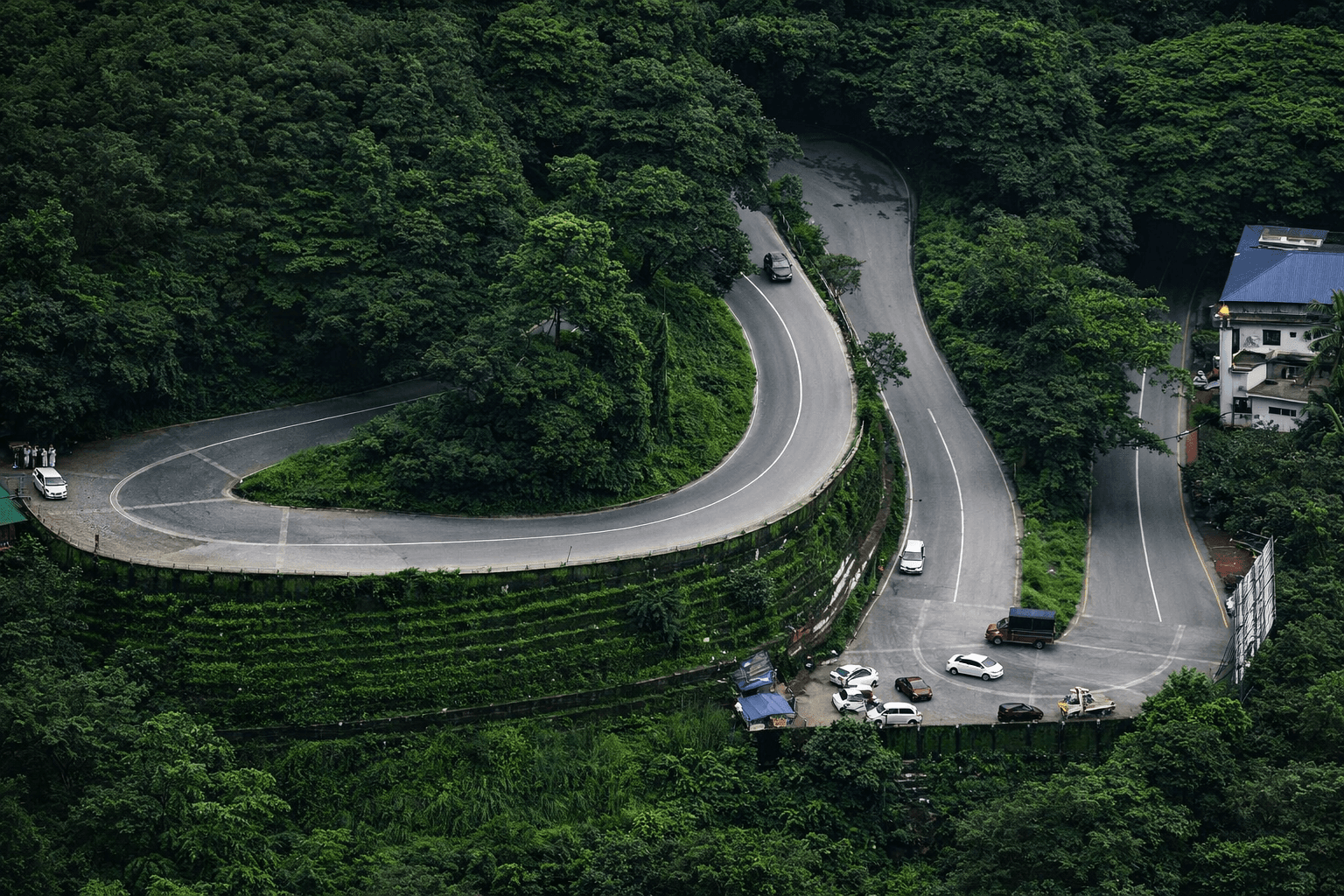 The Top 12 Best Places to Visit in Wayanad: Your Ultimate Nature Guide